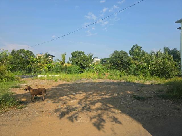 Residential Plot in Vasai West for resale Vasai. The reference number is 21210054
