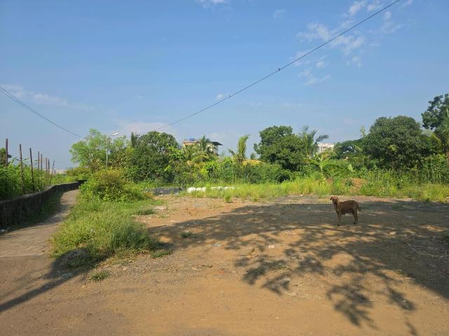 Residential Plot in Vasai West for resale Vasai. The reference number is 21210067