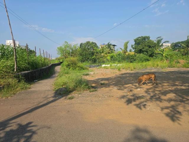Residential Plot in Vasai West for resale Vasai. The reference number is 21210019