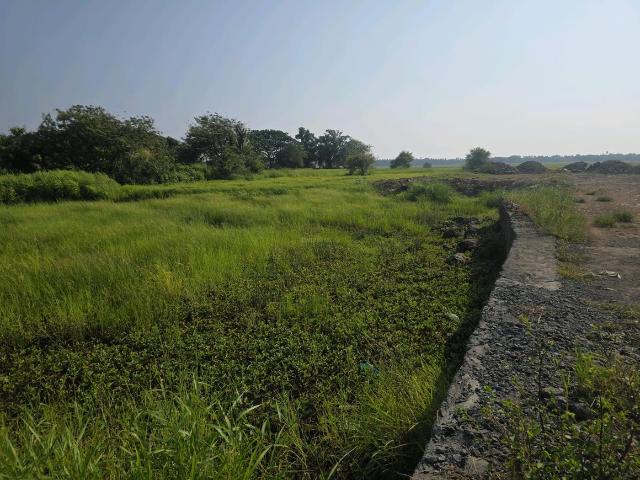 Residential Plot in Vasai West for resale Vasai. The reference number is 21210029
