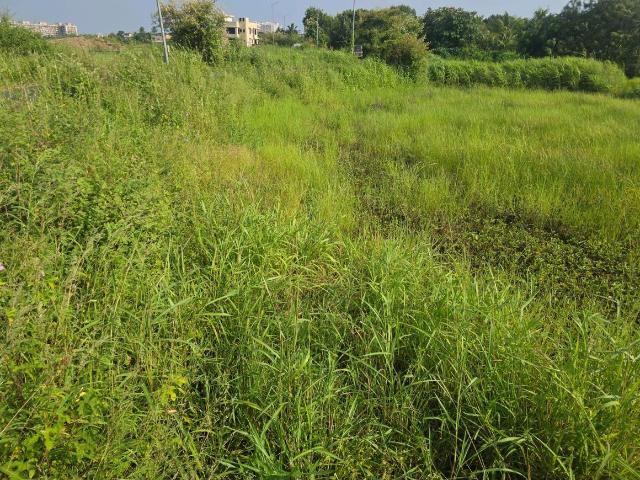 Residential Plot in Vasai West for resale Vasai. The reference number is 21210037