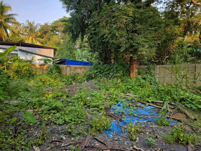 Residential Plot in Vasai West for resale Vasai. The reference number is 21226164