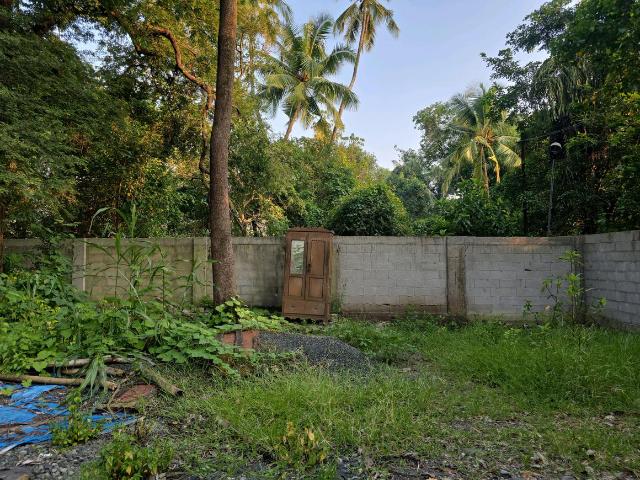 Residential Plot in Vasai West for resale Vasai. The reference number is 21226171