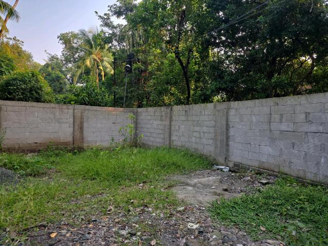 Residential Plot in Vasai West for resale Vasai. The reference number is 21226183