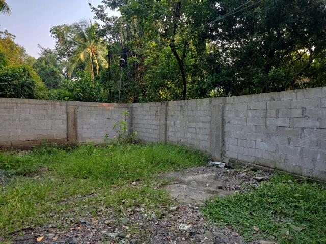 Residential Plot in Vasai West for resale Vasai. The reference number is 21226195