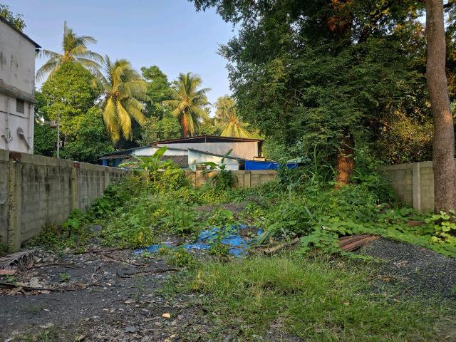 Residential Plot in Vasai West for resale Vasai. The reference number is 21226234