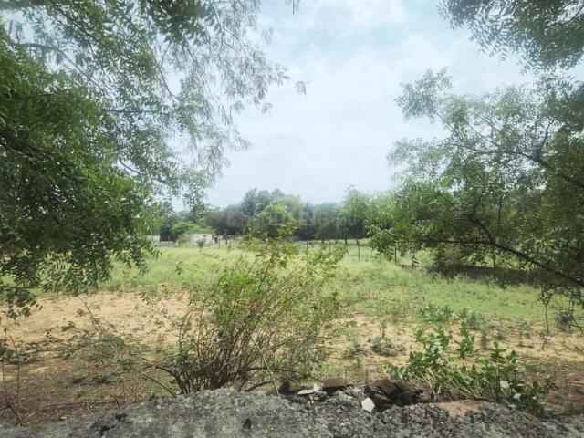 Residential Plot in Vasant Kunj for resale New Delhi. The reference number is 20872424