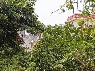 Residential Plot in Vasundhara for resale Ghaziabad. The reference number is 20331966