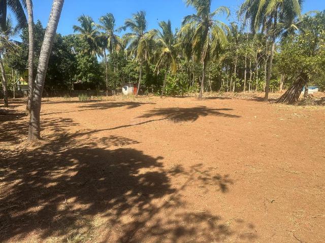 Residential Plot in Varadiyam for resale Thrissur. The reference number is 19441777