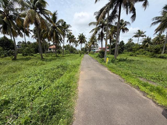 Residential Plot in Varapuzha for resale Kochi. The reference number is 20875448