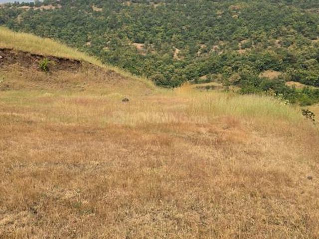 Residential Plot in Varve Khurd for resale Pune. The reference number is 21340465