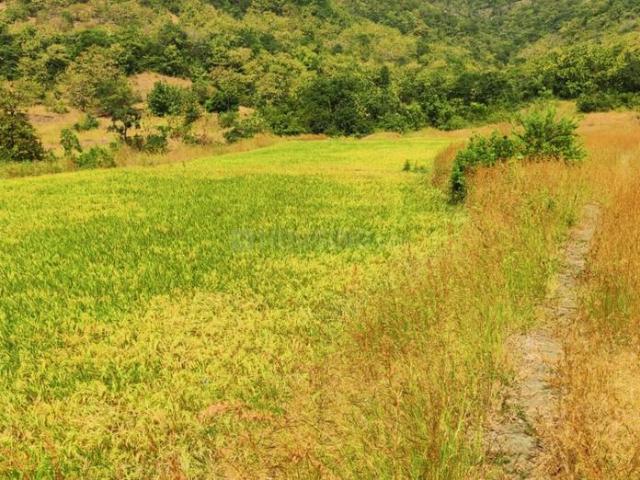 Residential Plot in Varve Khurd for resale Pune. The reference number is 21392692