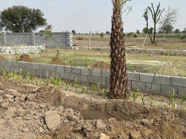 Residential Plot in Vatika for resale Jaipur. The reference number is 20506983