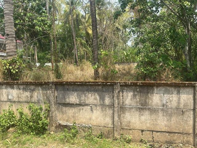 Residential Plot in Velappaya, Killannur for resale Thrissur. The reference number is 19678409