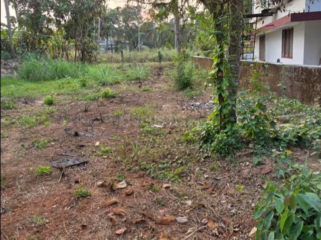 Residential Plot in Vellimadukunnu for resale Kozhikode. The reference number is 19533152