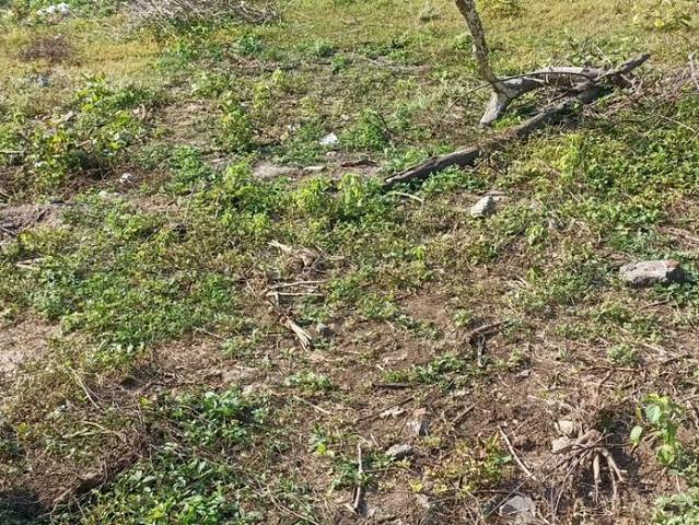 Residential Plot in Vennala for resale Kochi. The reference number is 20799714