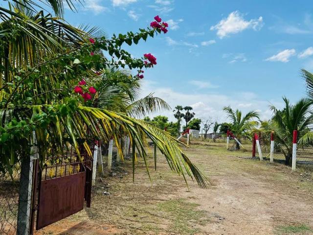 Residential Plot in Vennangupattu for resale Chennai. The reference number is 20951887