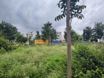 Bangalore, Bangalore District, Tamil Nadu