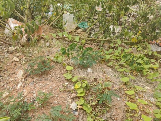 Residential Plot in Vidyaranyapura for resale Bengaluru. The reference number is 12661333