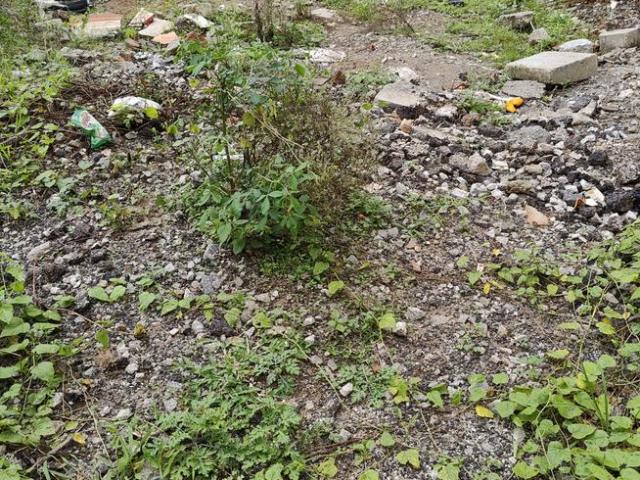 Residential Plot in Vidyaranyapura for resale Bengaluru. The reference number is 9725722