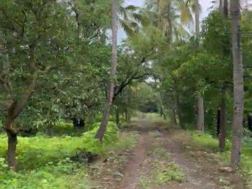 Diwekar Wadi Residency, Yashwantnagar Thane, Thane District, Maharashtra