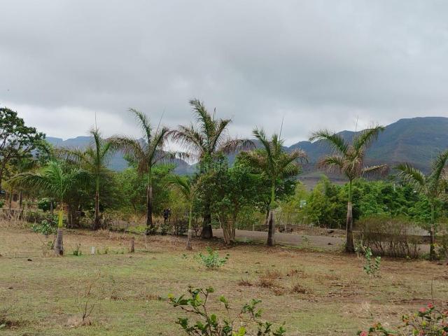 Residential Plot in Vilholi for resale Nashik. The reference number is 20689996