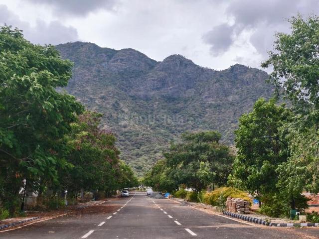 Residential Plot in Vilpatti for resale Kodaikanal. The reference number is 18869448