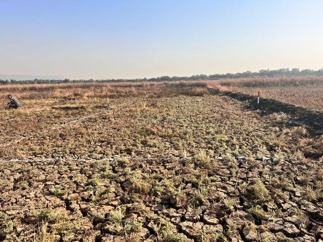 Residential Plot in Vindhane for resale Navi Mumbai. The reference number is 17810042