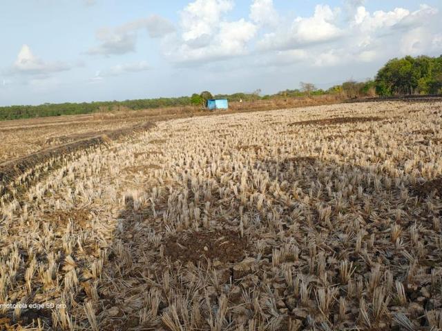 Residential Plot in Vindhane for resale Navi Mumbai. The reference number is 20455388
