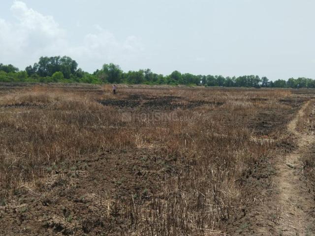 Residential Plot in Vindhane for resale Navi Mumbai. The reference number is 20517918