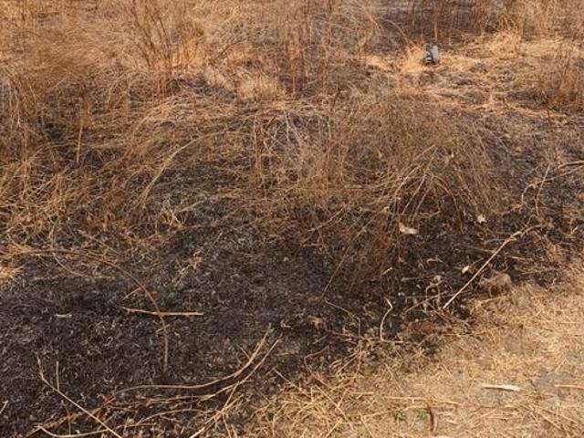 Residential Plot in Vindhane for resale Navi Mumbai. The reference number is 21310930