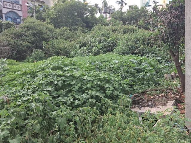 Residential Plot in Vishveshwaraya Nagar for resale Bengaluru. The reference number is 20572772