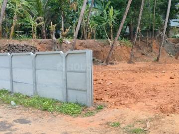 Pottore, Thrissur District, Kerala State
