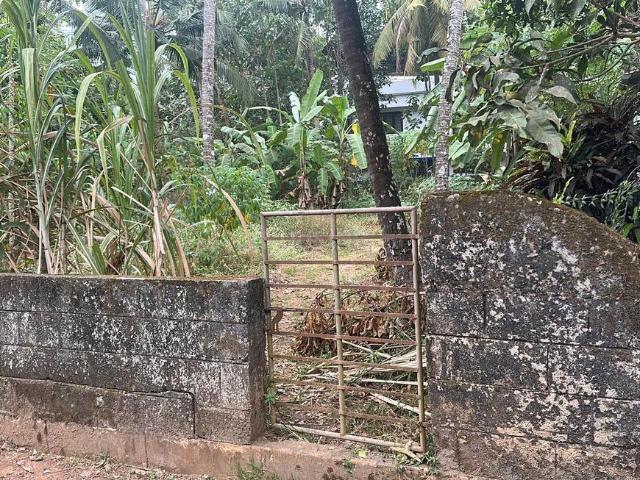 Residential Plot in Viyyoor for resale Thrissur. The reference number is 18502786