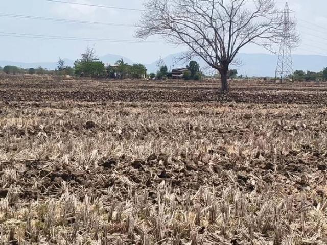 Residential Plot in Washi for resale Raigad. The reference number is 20544691
