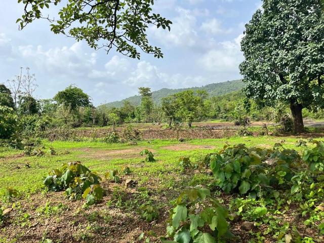 Residential Plot in Warasgaon for resale Raigad. The reference number is 19728198