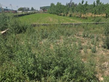 Residential Plot in Wave City for resale Ghaziabad. The reference number is 20138208