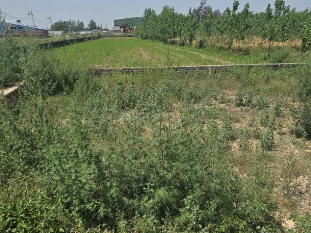 Residential Plot in Wave City for resale Ghaziabad. The reference number is 20138208