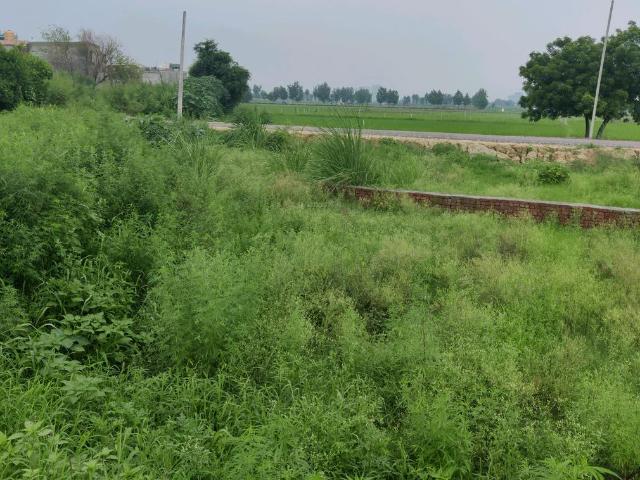 Residential Plot in Wave City for resale Ghaziabad. The reference number is 20888877