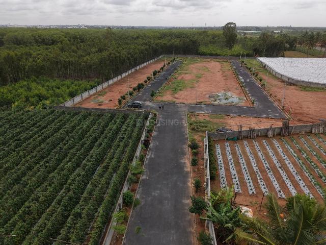 Residential Plot in Yadavanahalli for resale Bengaluru. The reference number is 20936941