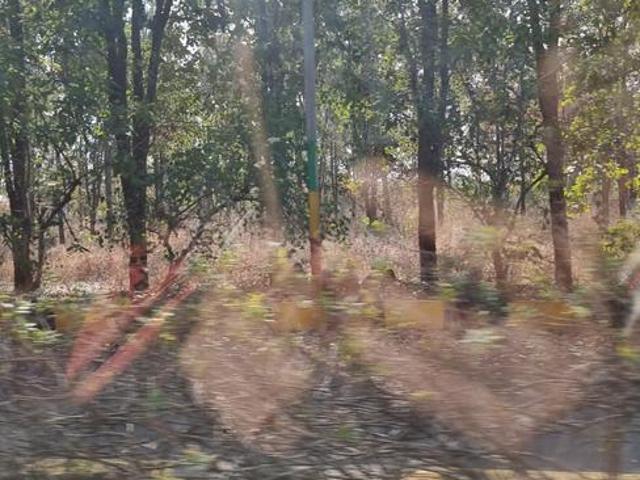 Residential Plot in Yadagirigutta for resale Yadadri Bhuvanagiri. The reference number is 17754760