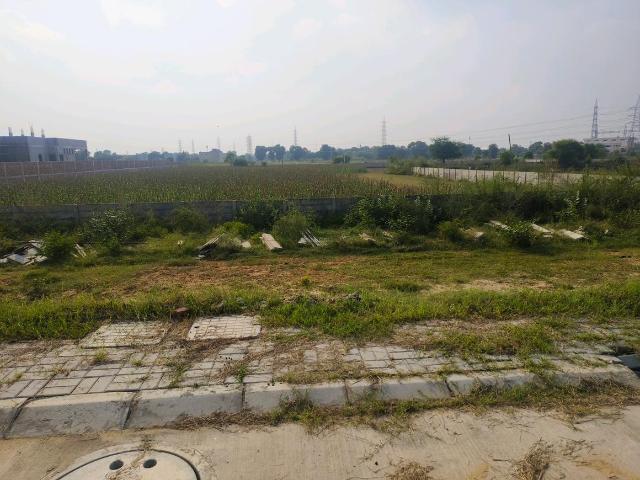 Residential Plot in Yakubpur for resale Jhajjar. The reference number is 21177654