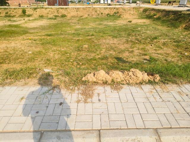Residential Plot in Yakubpur for resale Jhajjar. The reference number is 21177862