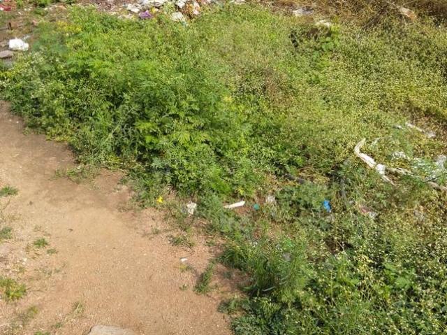 Residential Plot in Yapral for resale Secunderabad. The reference number is 20964680