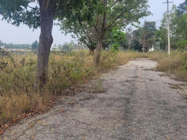 Residential Plot in Yattakodi for resale Kolar. The reference number is 20707293