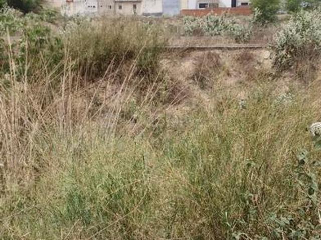 Residential Plot in Yeida for resale Greater Noida. The reference number is 15559740