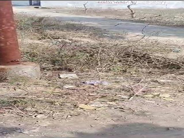 Residential Plot in Yeida for resale Greater Noida. The reference number is 16802763