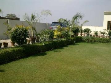 Residential Plot in Yeida for resale Greater Noida. The reference number is 18684369