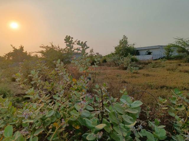 Residential Plot in Yeida for resale Greater Noida. The reference number is 20538540