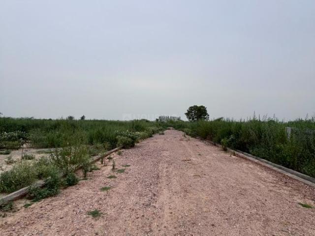 Residential Plot in Yeida for resale Greater Noida. The reference number is 20824465